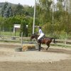 Babie Lato 2016